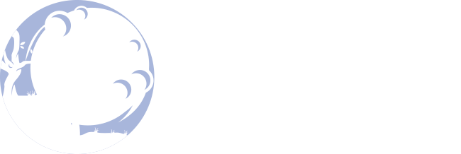 Il Laboratorio di Chiara Onlus